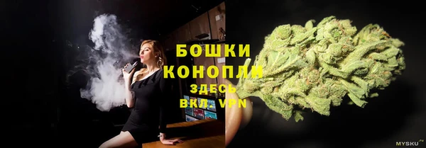 дживик Аркадак