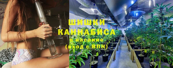 дживик Аркадак