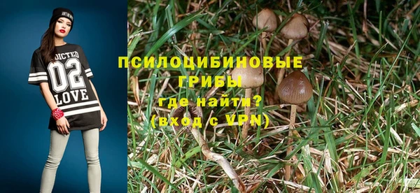 дурь Армянск