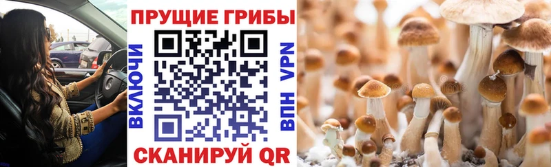 Псилоцибиновые грибы ЛСД Дно