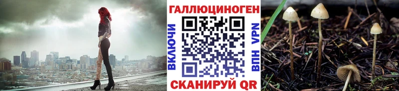 Псилоцибиновые грибы Magic Shrooms  МЕГА ТОР  Дно  купить  цена 